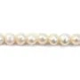 White round freshwater pearl 7-8mm x 15pcs