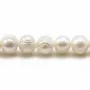 Perles d'eau douce blanches rondes 9-10mm x 10pcs