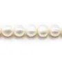 White round freshwater pearl 10-12mm x 2pcs