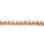 Perles de culture d'eau douce, saumon, ovale, 5mm x 6pcs