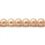 Perles de culture d'eau douce, saumon, ronde, 8-8.5mm x 2pcs