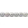 Perles de culture d'eau douce, grise B, olive, 7-8mm x 10pcs