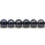  Freshwater Pearle ovale colored 5-5.5mm x 40cm