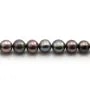 Perles d'eau Douce bleu&violet 8-9mm x 2pc