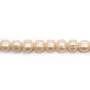 Freshwater cultured pearls, salmon, oval/regular, 11-12mm x 40cm