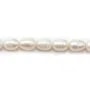 Perle de culture d'eau douce, blanche, olive, 9-10mm x 37cm