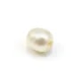 Perle de culture d'eau douce, blanche, olive, 7-8mm x 2pcs
