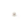 Golden yellow flat round beads on thread 16mm x 40cm