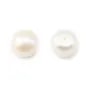 Perles de culture d'eau douce, semi-percée, blanche, bouton, 10-10.5mm x 2pcs