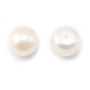 Pearl freshwater white round plat 11-12mm  demi tron 1.0mm  x 1pc