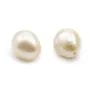 Perle de culture d'eau douce, semi-percée, blanche, olive, 7-8mm x 1pc