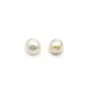 Perle de culture d'eau douce, semi-percée, blanche, ronde,  4.5-5mm x 2pcs