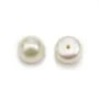 Perles d'eau douce blanche, semi-percée, de forme ronde plate, 7 - 7.5mm x 4pcs
