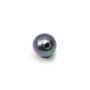 Perle de culture d'eau douce semi-percée, bleu foncé, ronde, 4.5-5mm x 2pcs