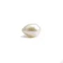 Perle de culture d'eau douce, semi-percée, blanche, goutte, 10-11mm x 1pc