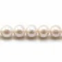 Perles de culture d'eau douce, blanche, ronde, 12-13mm x 40cm AA