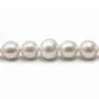Perle d'eau douce blanche, de forme ronde, et de taille 13-16mm x 40cm
