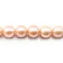 Perles d'eau Douce saumon rond 12-14mm  AA x 40cm