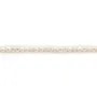 Perles de culture d'eau douce, blanche, ovale/irrégulière, 2-3mm x 37cm