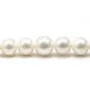 Perle d'eau douce blanche, de forme ronde, et de taille 13-15mm x 40cm