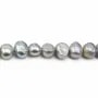 Perles d'eau douce baroque grise 6-7mm x 36cm