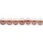 Perles de culture d'eau douce, mauve, ronde, 8-8.5mm x40cm