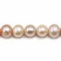 Perles de culture d'eau douce, multicolore, ronde,  9.5-10.5mm x 40cm A