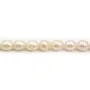 Perles de culture d'eau douce, saumon, irrégulière, 10x12mm x 2pcs