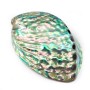 Coquille nacre abalone