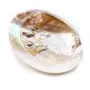 Coquillage avec perles incluses