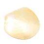 Yellow Mother-of-pearl 