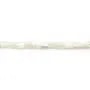String of White Shell Tube 3x5MM 