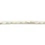 Nacre blanche en perles ovales sur fil 3mm x 40cm