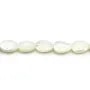 Nacre blanche feuille 6x9mm x 10pcs
