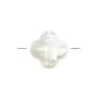 Nacre blanche en forme de trèfle Facetté 22mm x 1pc