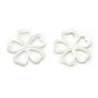 Natural shell ''Flower'' in a bag 15mm x 1pc