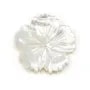 Nacre blanc 5 feuille rose 15mm x 1pc
