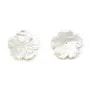 Nacre blanc 5 feuille rose 15mm x 1pc