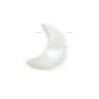 Natural shell ''Flower'' in a bag 15mm x 1pc