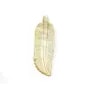Nacre jaune en forme de feuille x 1pc