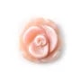 Rose Shell Flower Rose 8mm x 15pcs