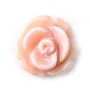 Nacre rose en Forme de Fleur Rose 8mm x 15pcs
