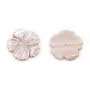 Nacre blanche en fleur de 5 feuilles 28mm x 1pc