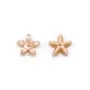 Nacre rose en forme de fleur 18mm  x 2pcs