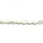 Nacre blanche en ovale sur fil 6x8mm x 40cm
