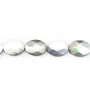 Nacre Grise en Forme d'Ovale Facette 6x10mm x 40cm 