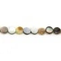 Nacre grise ronde plate 6mm x 40cm
