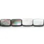 Nacre Grise en Forme de Rectangle 8x12mm x 5pcs