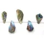 Mother-of-pearl abalone shaped various, 39x25 - 11x15mm x 40cm