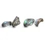 Nacre abalone de forme et de tailles diverses x 39cm